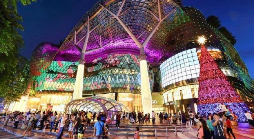 G4 Station Backpackers *